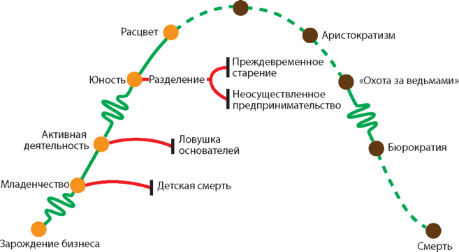 Модель жизненного цикла по Адизесу