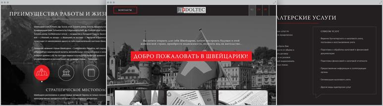 Розробка Doltec – Лендінг компанії професійних послуг